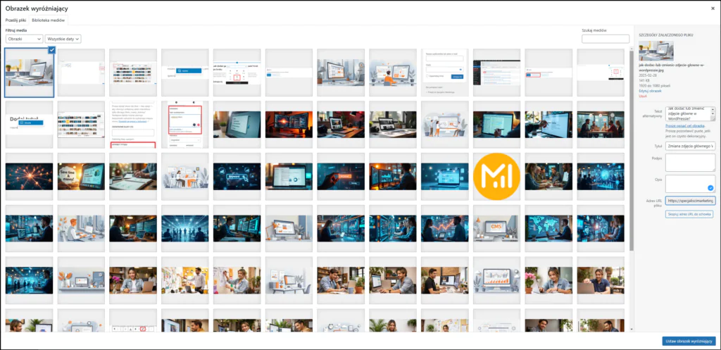 Wybór zdjęcia głównego